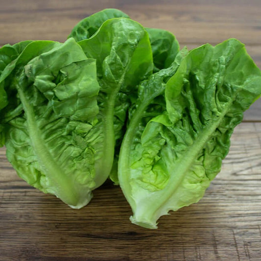 Organic Little Gem Lettuces (1 head)