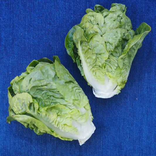 Little Gem Lettuces (1 head)