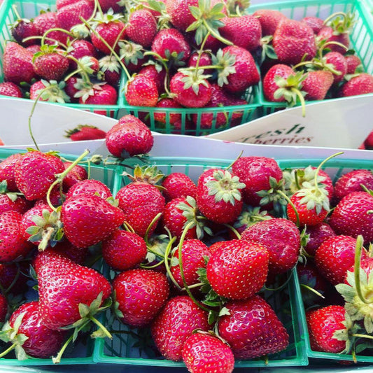 Organic Lucero Farm Seascape Strawberries  (1 pint)