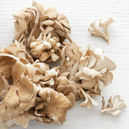 Organic Maitake (Hen of the Woods) Mushrooms (6 oz)