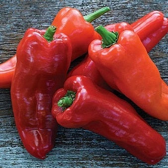 Organic Marconi Sweet Peppers (1 lb)