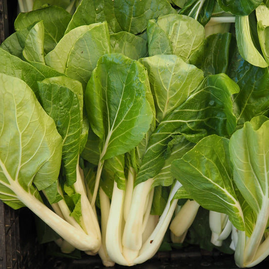 Mei Qing Choi (1 lb)