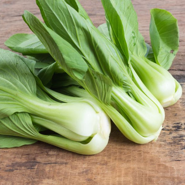 Organic Mei Qing Choi (1 lb)