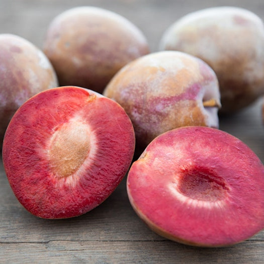 Organic October Sun Plum (1 lb)