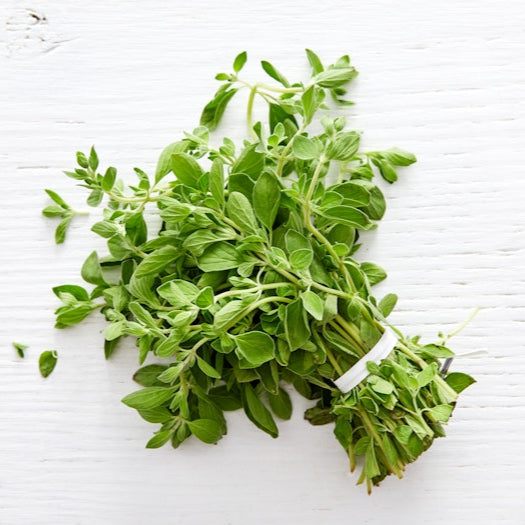 Organic Oregano (1 bunch)