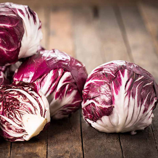 Organic Chioggia Radicchio (1 head)