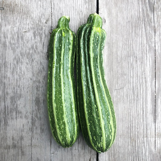 Organic Costata Romanesco Summer Squash (1 lb)