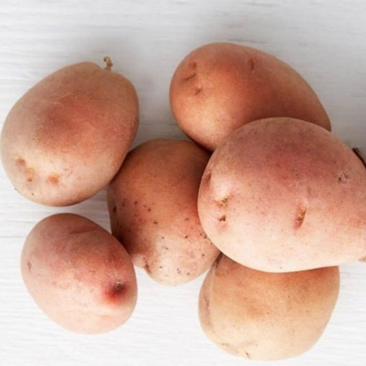 Organic Red Potatoes (1 lb)