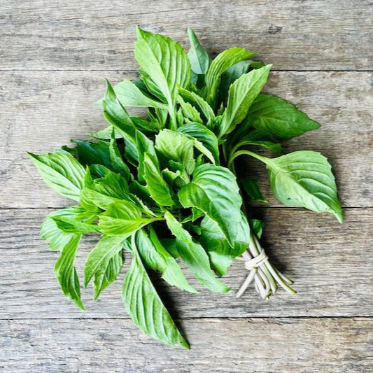 Organic Thai Basil (1 bunch)