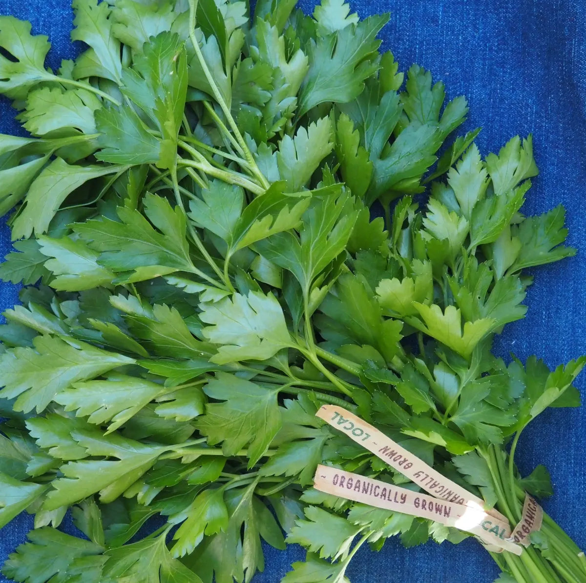 Parsley (1 bunch)