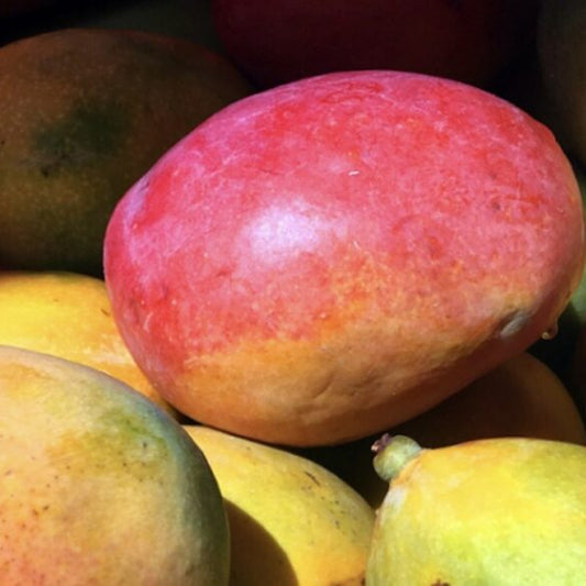 Organic Mango (1 Count)