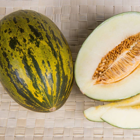 Piel de Sapo Melon (1 count)