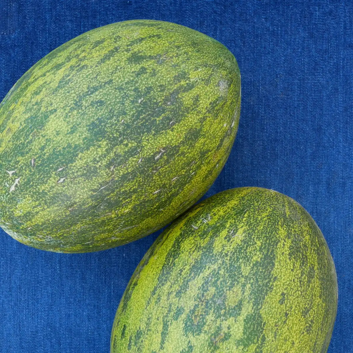 Piel de Sapo Melon (1 count)