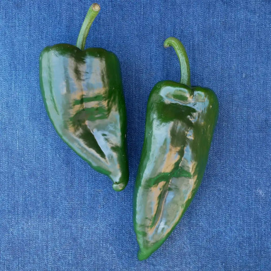 Poblano Peppers (1 lb)
