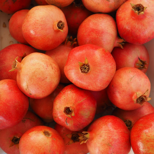 Red Pomegranate (1 count)