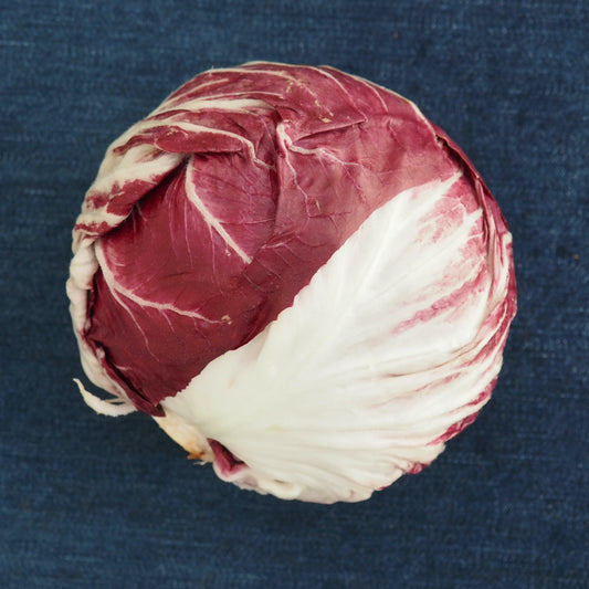 Chioggia Radicchio (1 head)