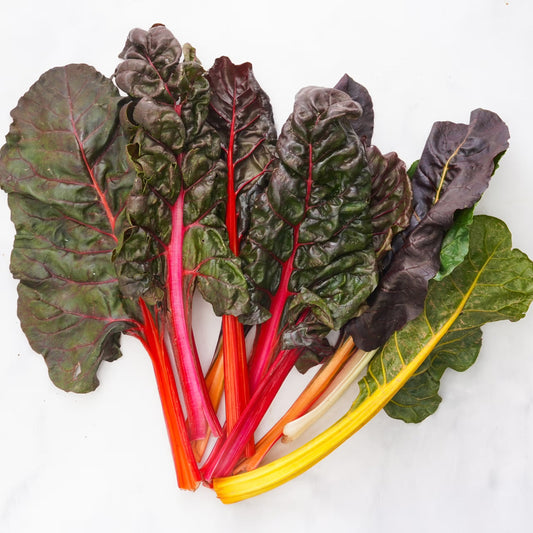 Organic Rainbow Chard (1 bunch)