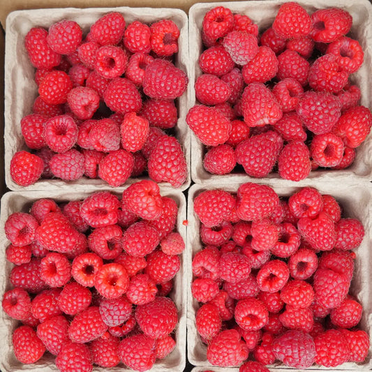 Raspberries (6 oz)