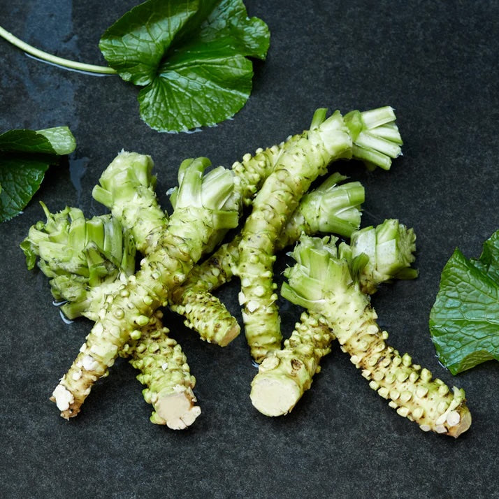Organic Fresh Wasabi (4 oz)