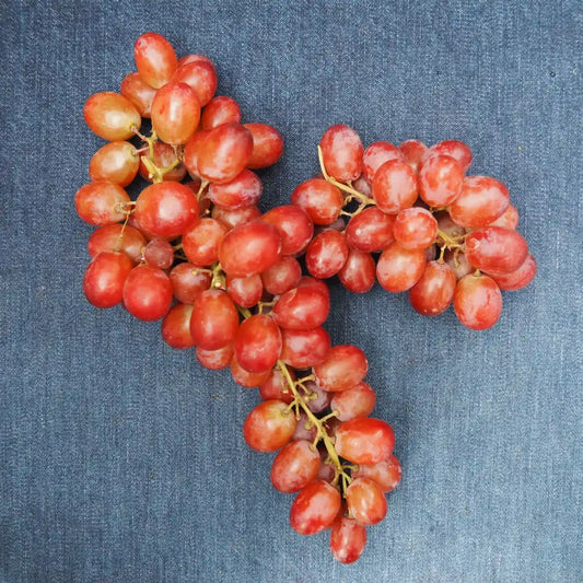 Seedless Red Flame Grapes (1 lb)