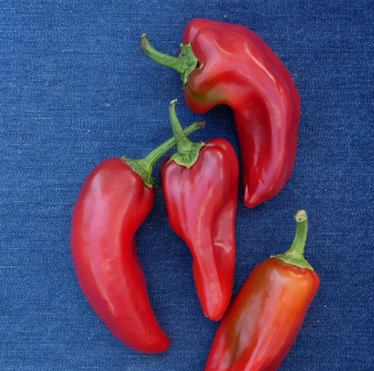 Red Horn Peppers (1 lb)