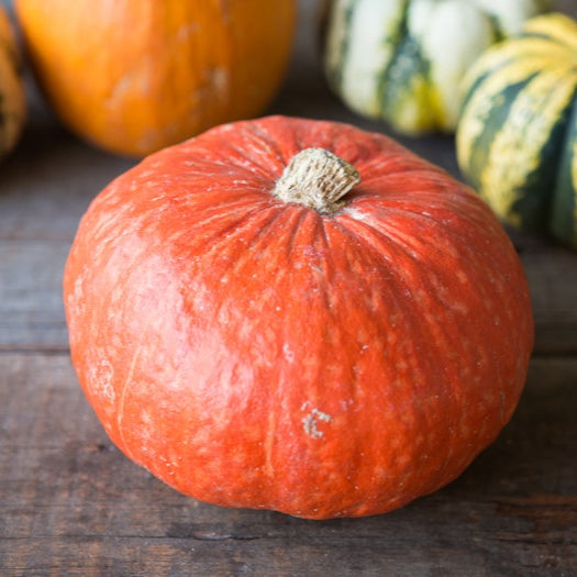 Organic Red Kabocha Squash (1 count)