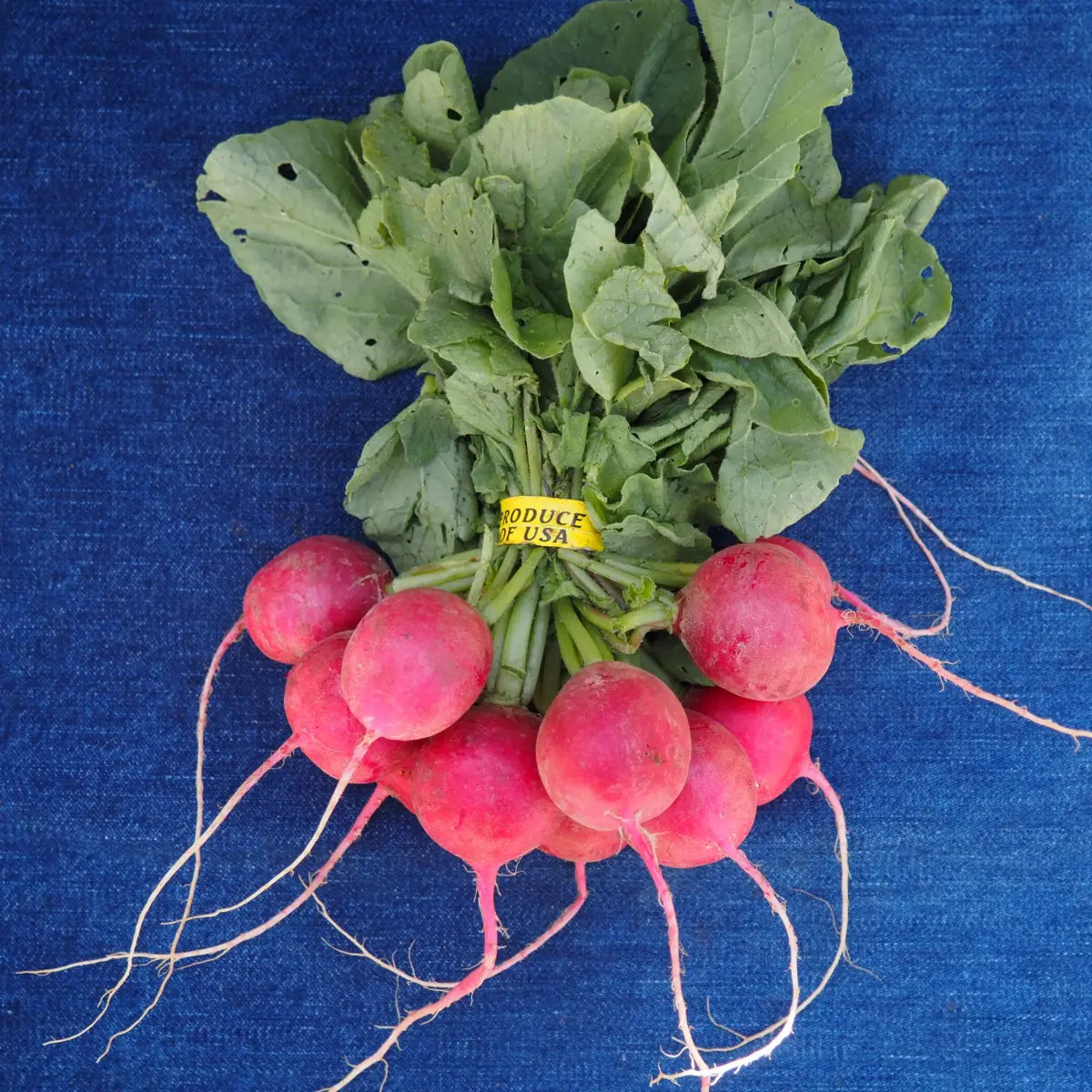 Red Radishes (1 bunch)