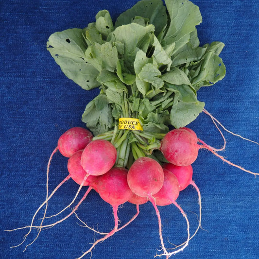 Red Radishes (1 bunch)