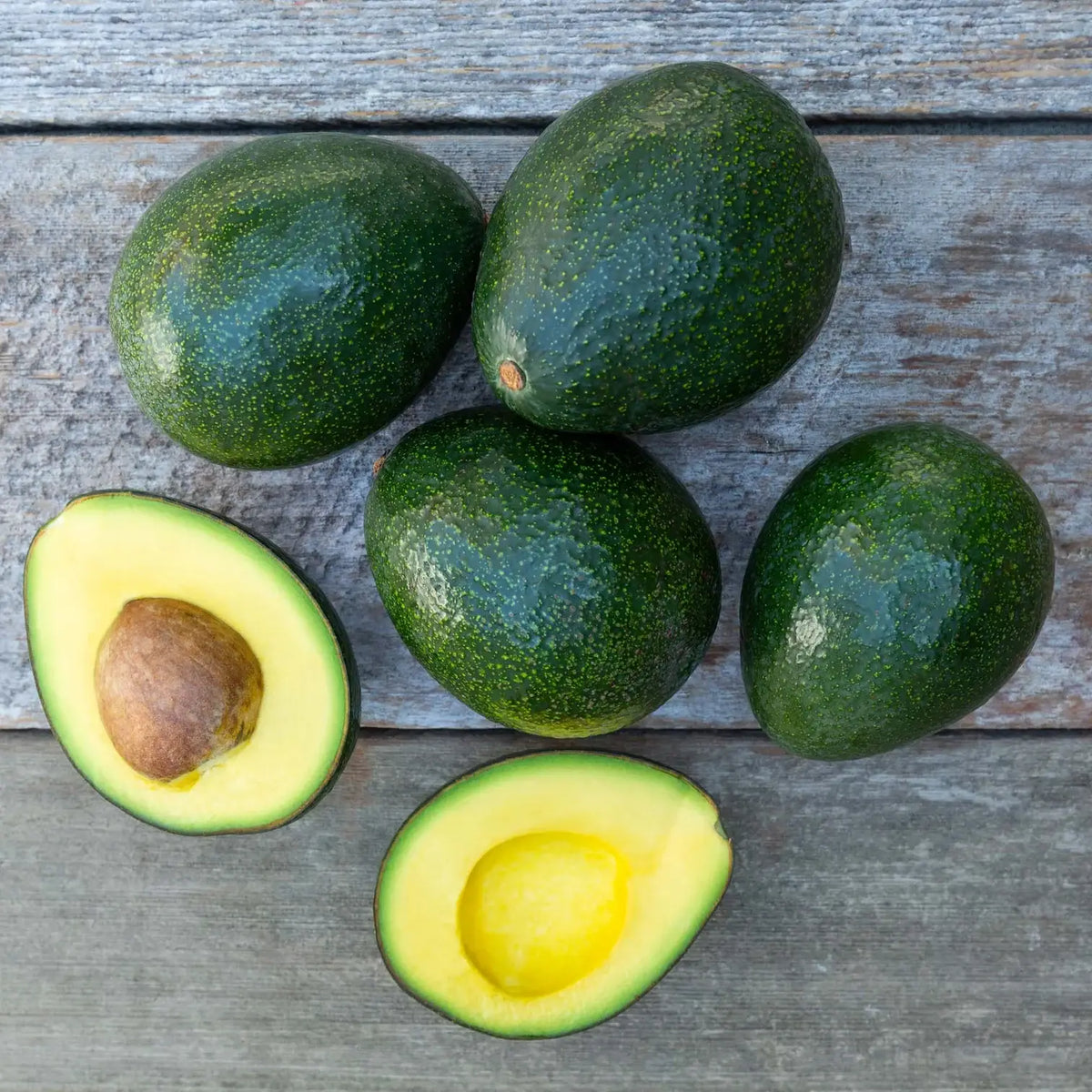Large Reed Avocado (1 count)