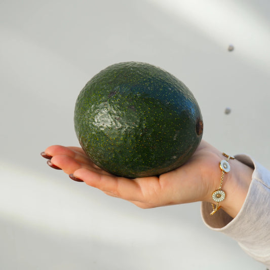 Large Reed Avocado (1 count)