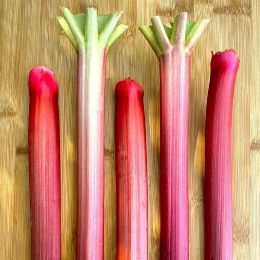Organic Rhubarb (1 lb)