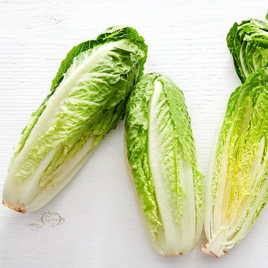 Organic Romaine Hearts (4 heads)