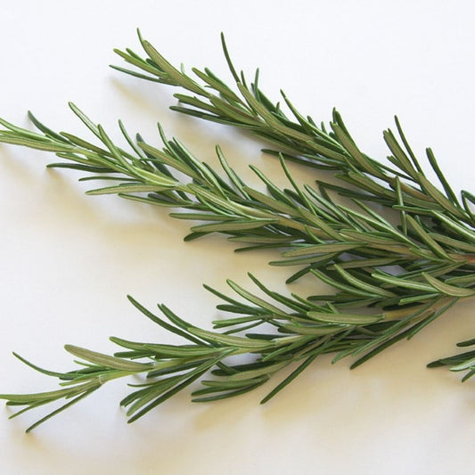 Organic Rosemary (1 bunch)