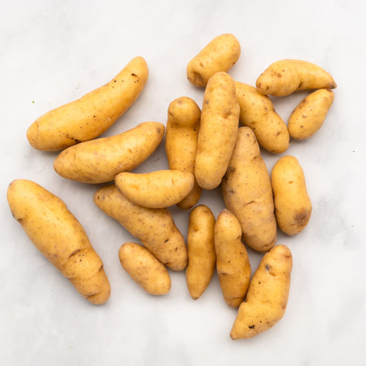 Organic Russian Banana Fingerling Potatoes (1 lb)