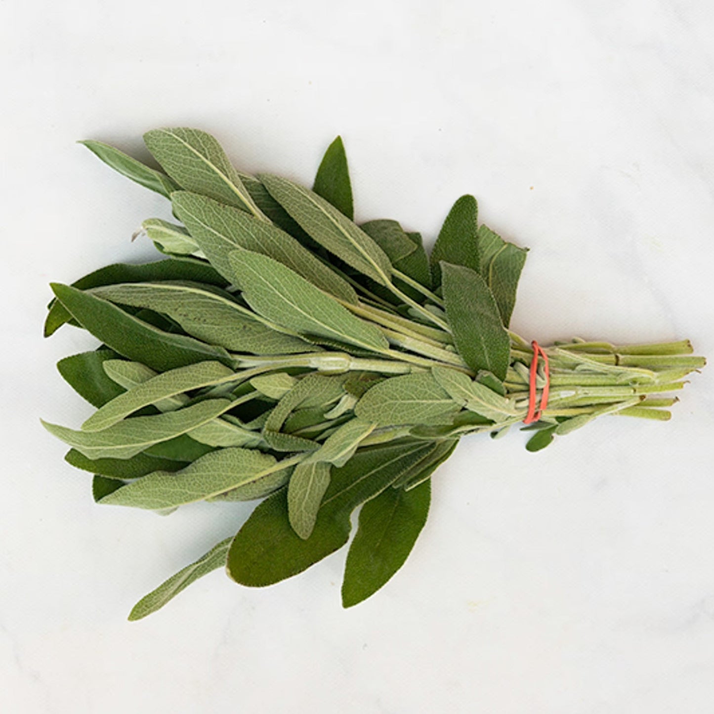 Organic Sage