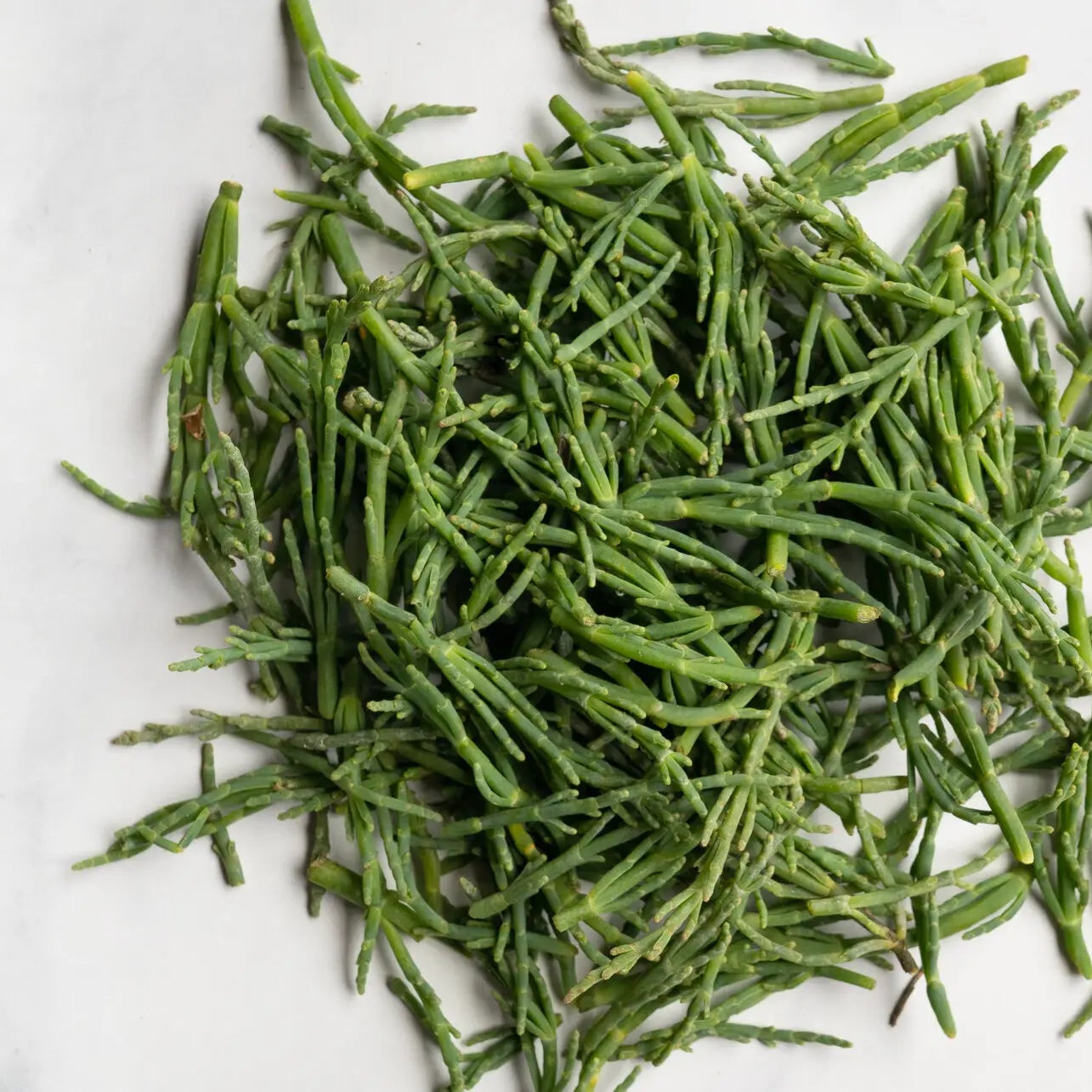 Sea Beans (4 oz)