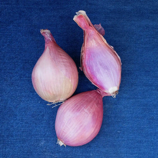 Shallots (8 oz)