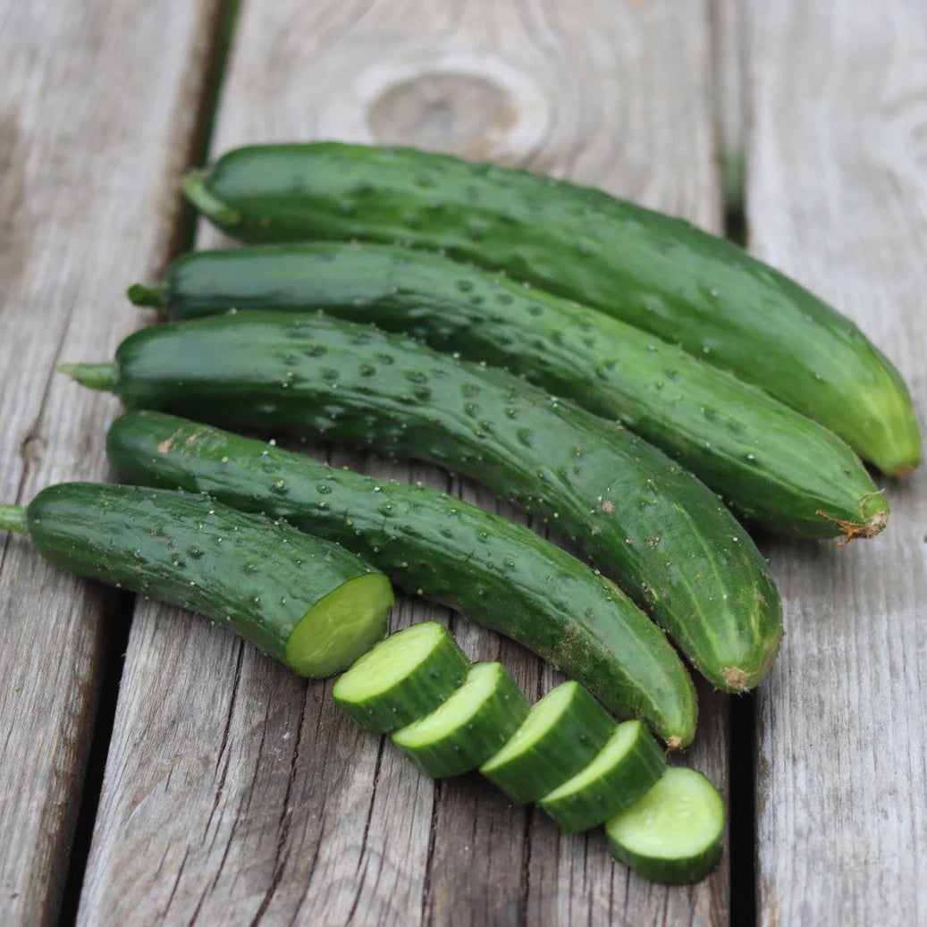 Shintokiwa Cucumber (1 lb)