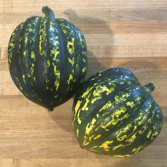 Organic Starry Night Acorn Squash (1 count)