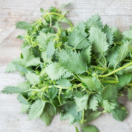 Organic Wild Stinging Nettles ( .5 lb )