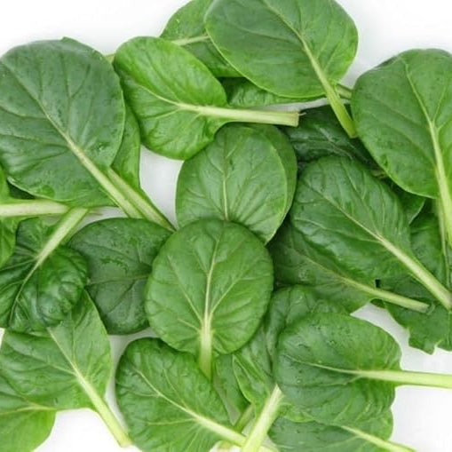 Baby Tatsoi (8 oz)