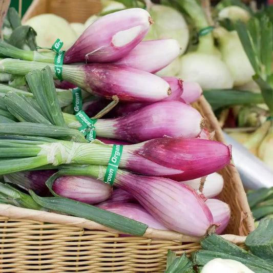 Organic Red Torpedo Onion ( 1 lb)