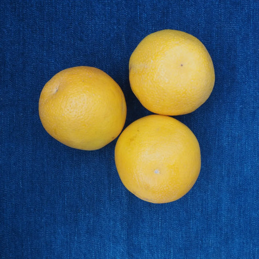 Valencia Oranges (1 lb)