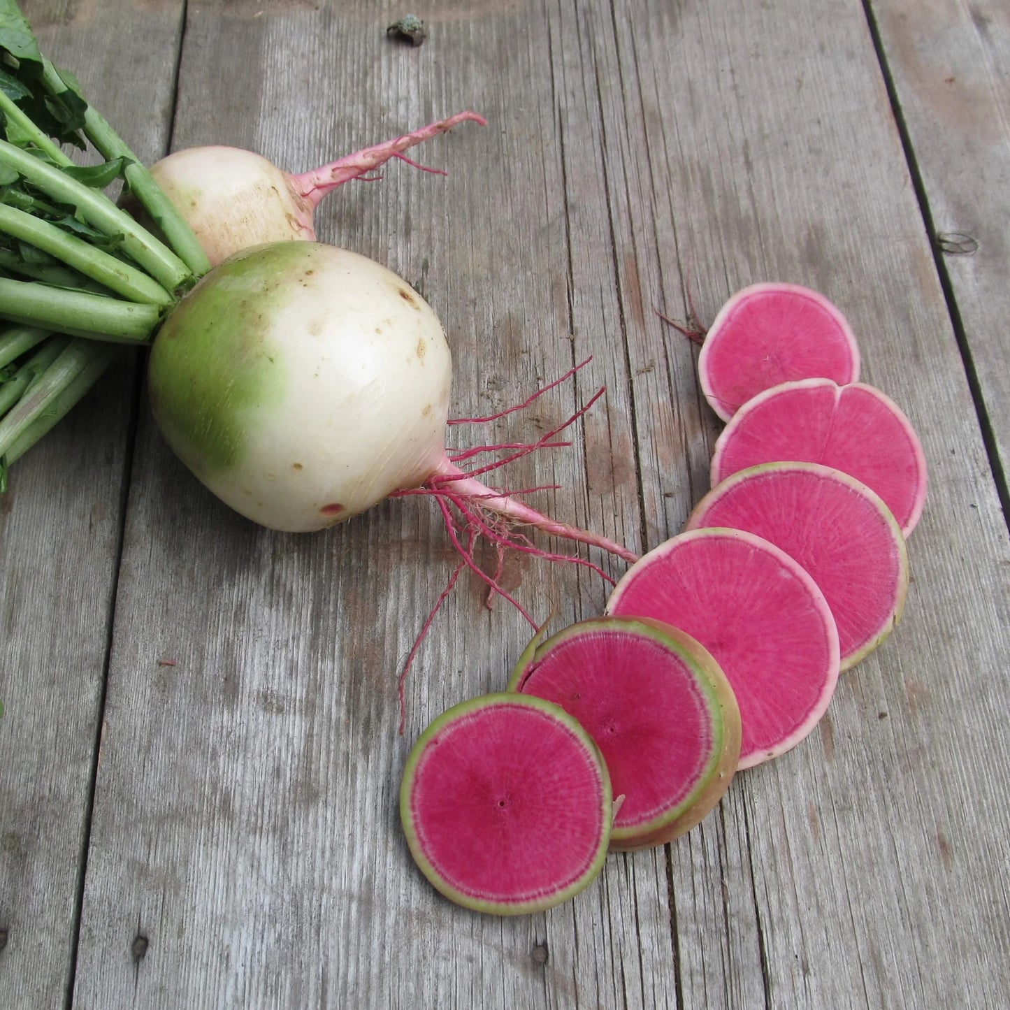 Organic Watermelon Radishes (1 lb)