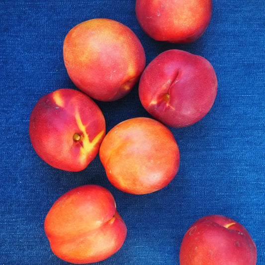 Yellow Nectarines (1 lb)