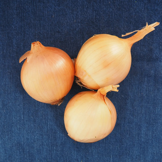 Uncured Yellow Onions (1 count)