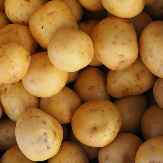 Yukon Gold New Potatoes (1 lb)