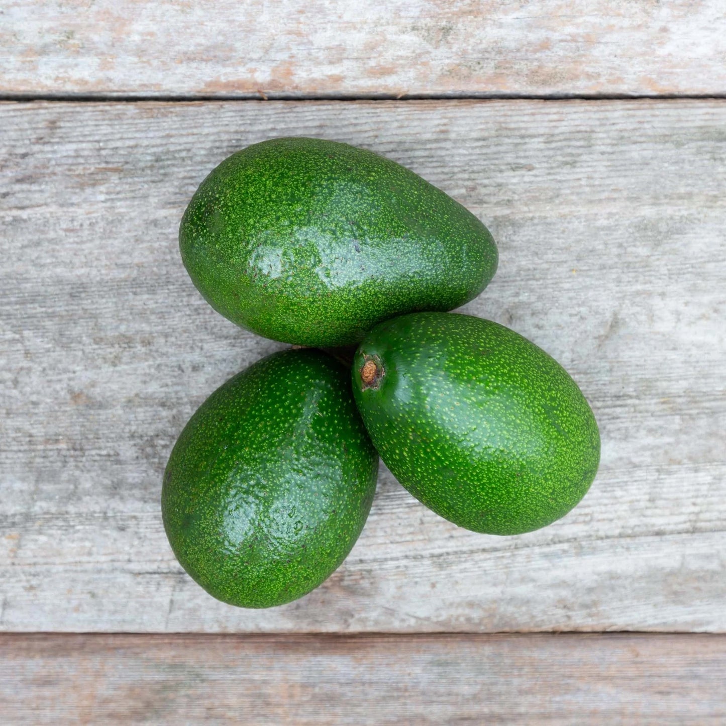 Organic Bacon Avocado (1 count)