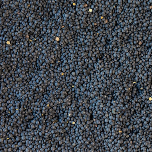 Black Caviar Lentil (1 lb bag)