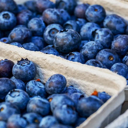 Organic Blueberries (6oz)